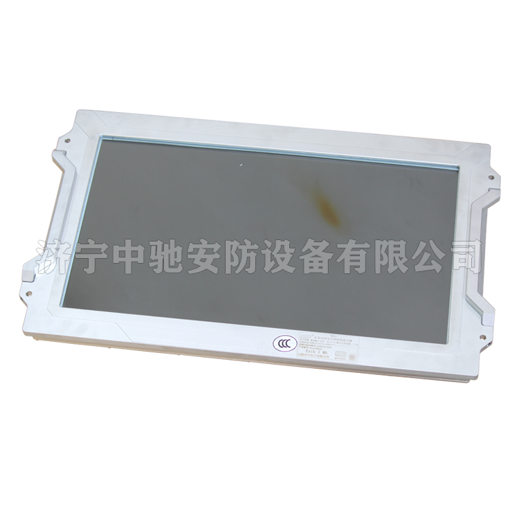 XH12礦用本質安全型控制顯示器|天津華寧電子有限公司