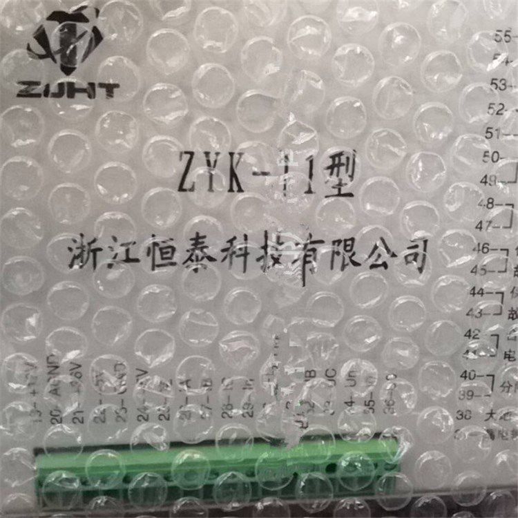 浙江恒泰科技ZYK-11B智能型保護器